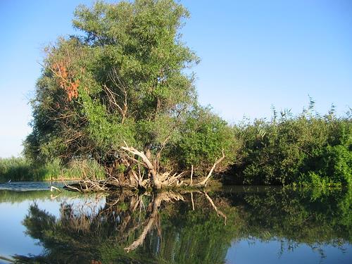 delta - 103681343144cdc6bbb0.jpg